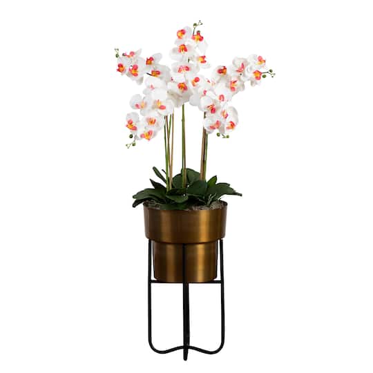 4ft. White Orchid Arrangement in Brass Metal Planter with Stand